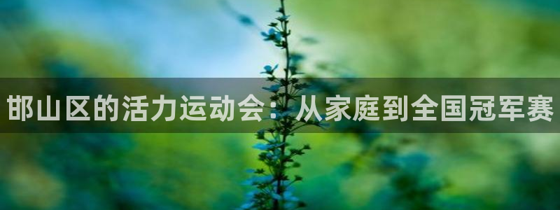 利记官网下载平台注册要钱吗：邯山区的活力运动会：从家