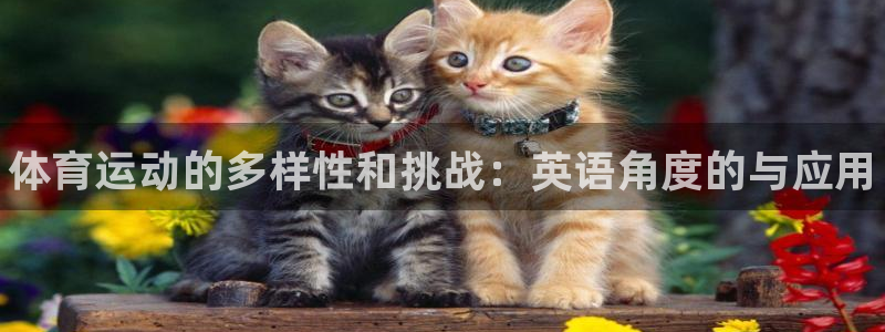 利记官方正版app娱乐首页官网下载：体育运动的多样性