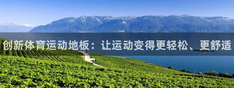 利记官网下载平台注册要钱吗安全吗：创新体育运动地板：