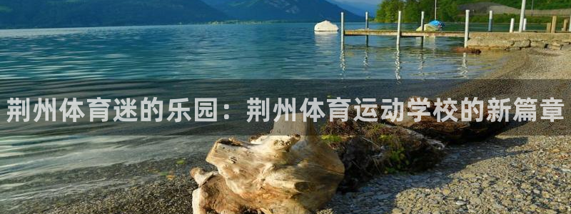 利记官方正版app开户：荆州体育迷的乐园：荆州体育运