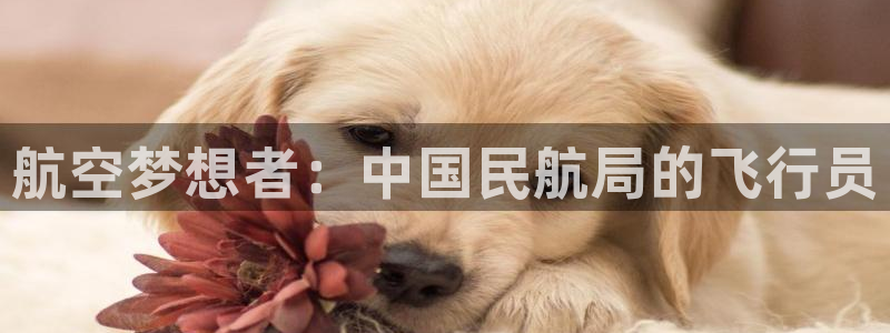 利记官方正版app集团官网网址：航空梦想者：中国民航