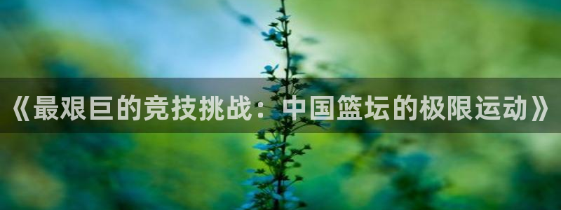 利记官网下载平台注册要钱吗安全吗：《最艰巨的竞技挑战