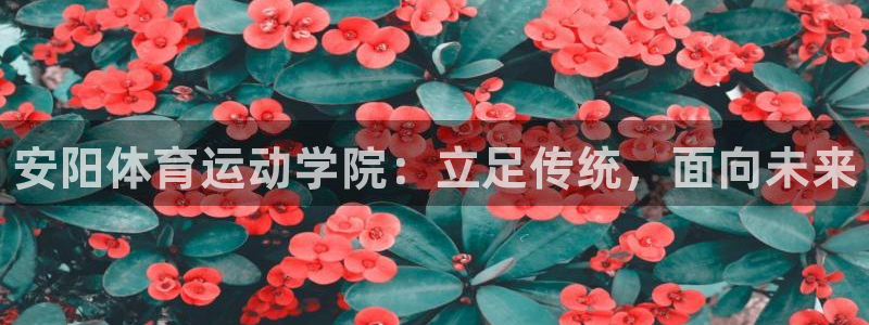 利记官方正版app娱乐是那个系列的台子