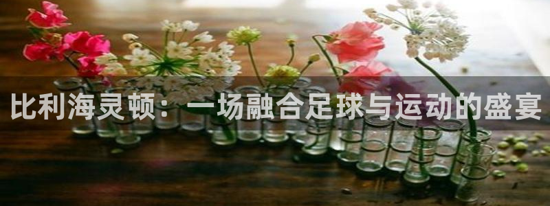 利记官网下载平台注册要钱吗是真的吗：比利海灵顿：一场