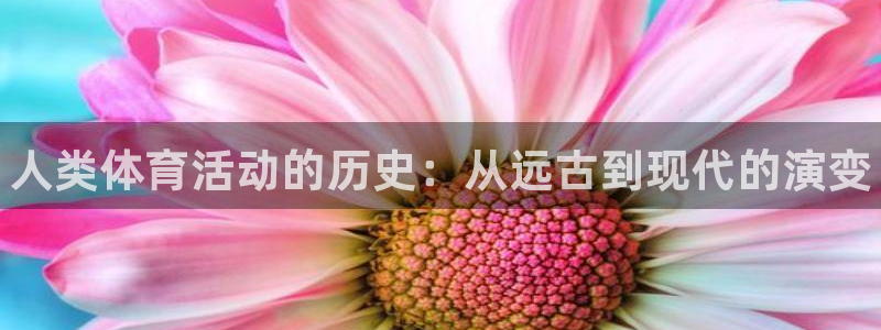 利记官网下载平台