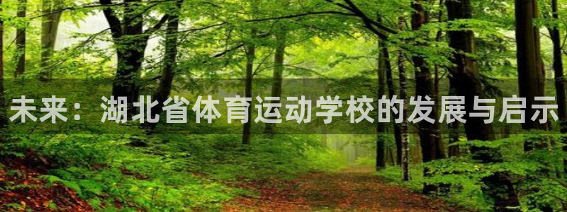 利记官网下载平台注册要钱吗是真的吗：未来：湖北省体育运动学校