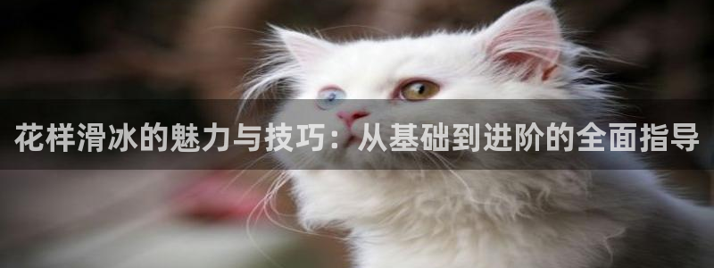 利记官网下载平台是正规平台吗安全吗：花样滑冰的魅力与技巧：从