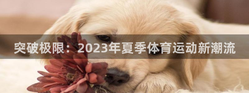 注册利记官方正版app：突破极限：2023年夏季体育