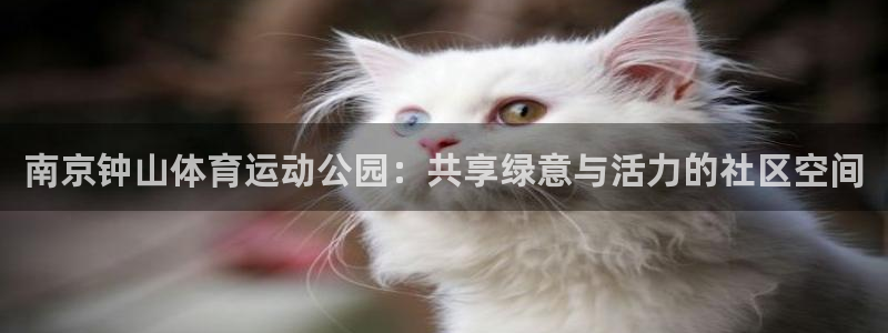 利记官方正版app集团官网首页