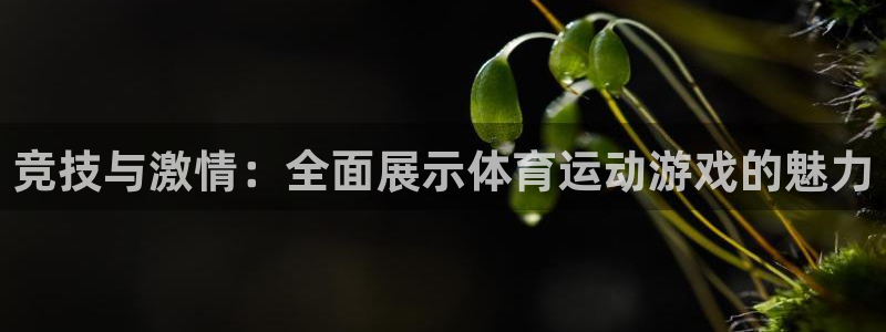 利记官方正版app科技：竞技与激情：全面展示体育运动游戏的魅