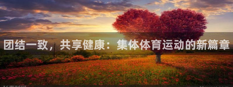 利记官方正版app五金厂：团结一致，共享健康：集体体育运动的