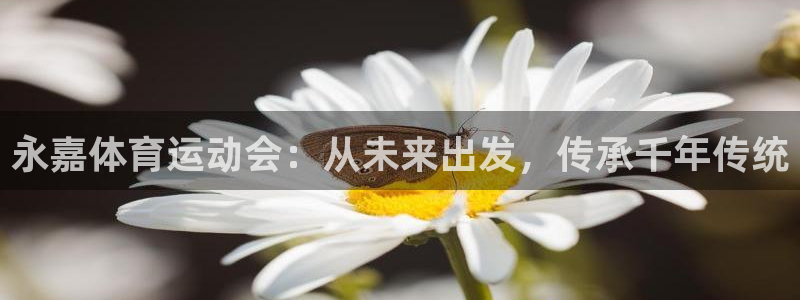 利记官方正版app集团简介：永嘉体育运动会：从未来出发，传承