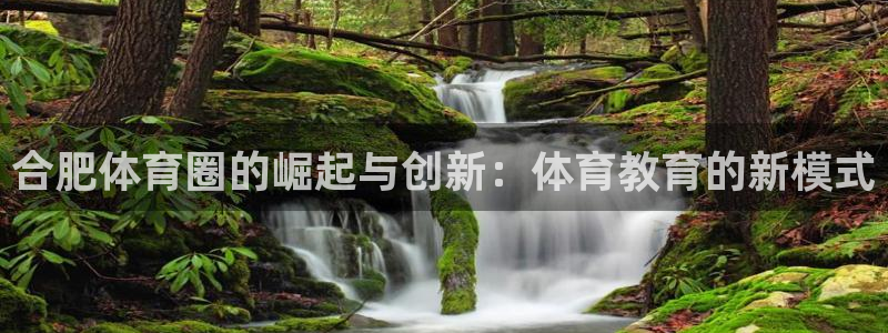 利记官方正版app集团logo：合肥体育圈的崛起与创