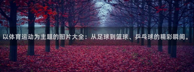 利记官方正版app集团：以体育运动为主题的图片大全：从足球到
