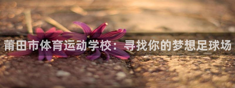 利记官网下载平台：莆田市体育运动学校：寻找你的梦想足球场