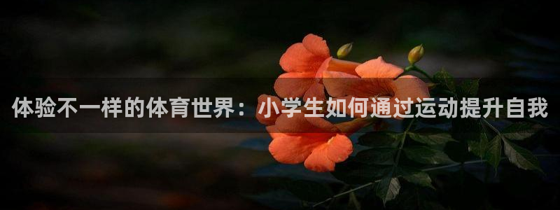 利记官方正版app神州：体验不一样的体育世界：小学生