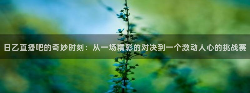 松鼠平台：日乙直播吧的奇妙时刻：从一场精彩的对决到一个激动人心的挑战赛
