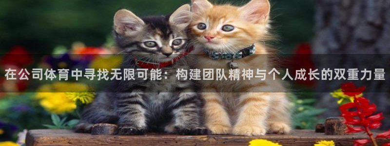 利记sbob欧赔分析：在公司体育中寻