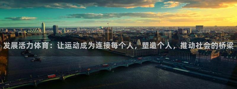利记sbobet登录入口：发展活力体