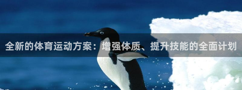 利记注册平台：全新的体育运动方案：增