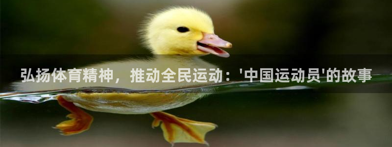 利记sbobet：弘扬体育精神，推动