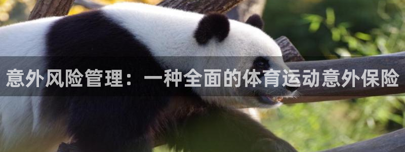 利记轮渡：意外风险管理：一种全面的体
