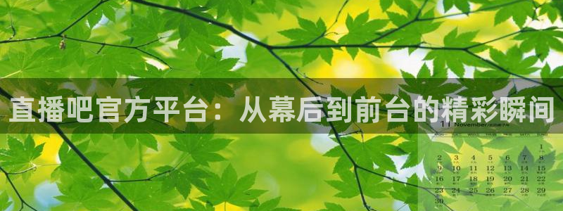 松鼠宝贝体育：直播吧官方平台：从幕后到前台的精彩瞬间