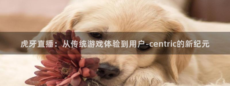 松鼠网官方下载：虎牙直播：从传统游戏体验到用户-centric的新纪元