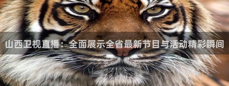 松鼠宝贝体育：山西卫视直播：全面展示全省最新节目与活动精彩瞬间