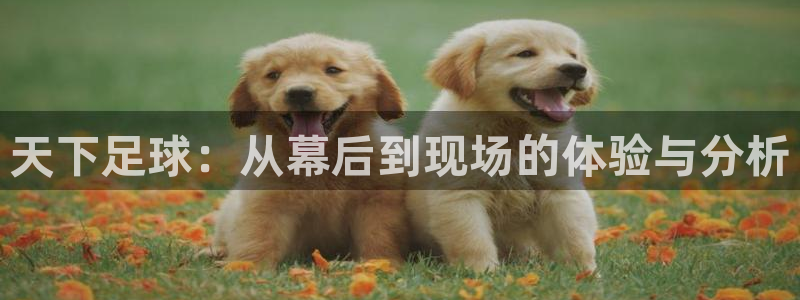 松鼠客户端