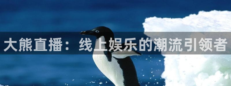 下载松鼠电视直播