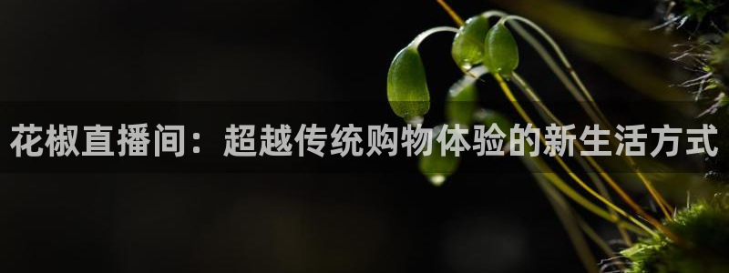 松鼠体育下载：花椒直播间：超越传统购物体验的新生活方式