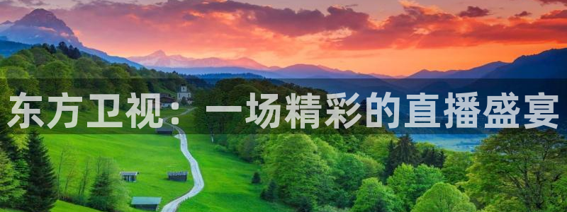 松鼠网官方下载：东方卫视：一场精彩的直播盛宴