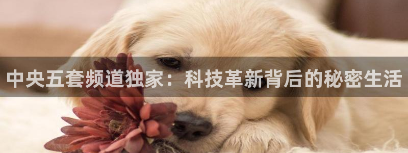 松鼠网官方下载：中央五套频道独家：科技革新背后的秘密生活