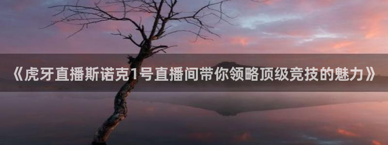 松鼠直播tv：《虎牙直播斯诺克1号直播间带你领略顶级竞技的魅力》