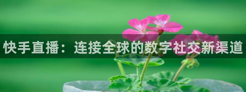 松鼠体育在线直播：快手直播：连接全球的数字社交新渠道