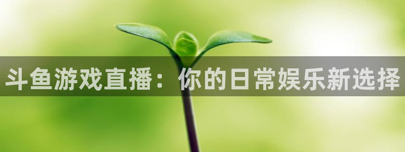 松鼠网官方下载：斗鱼游戏直播：你的日常娱乐新选择